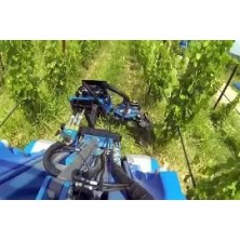 Removedor de brotos de rosca - Comprimento do rotor 52 cm - Offset