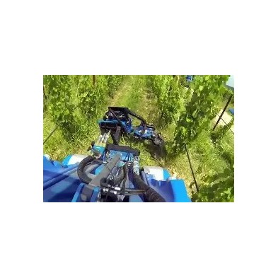 Removedor De Brotes De Hilo - Longitud Del Rotor 52 Cm - Desplazado