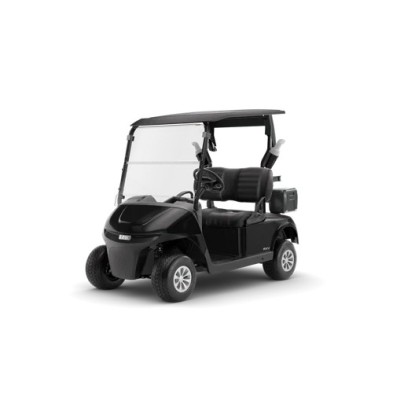Ezgo Rxv Elite Negro con USB