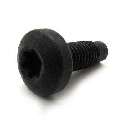 Tornillo Torx / Taptite Bolt.