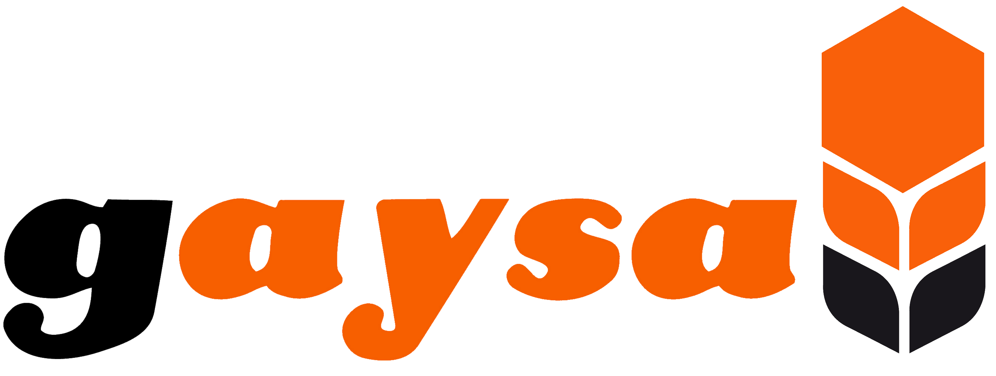 GAYSA